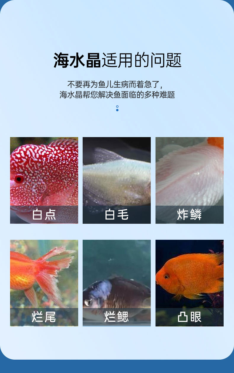 详情_03.jpg