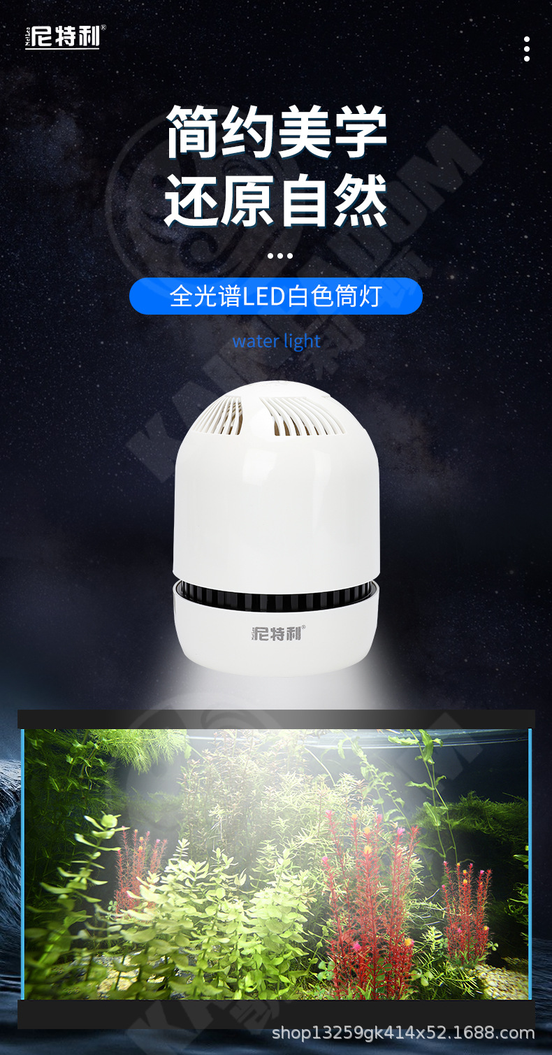 水草灯_01.jpg