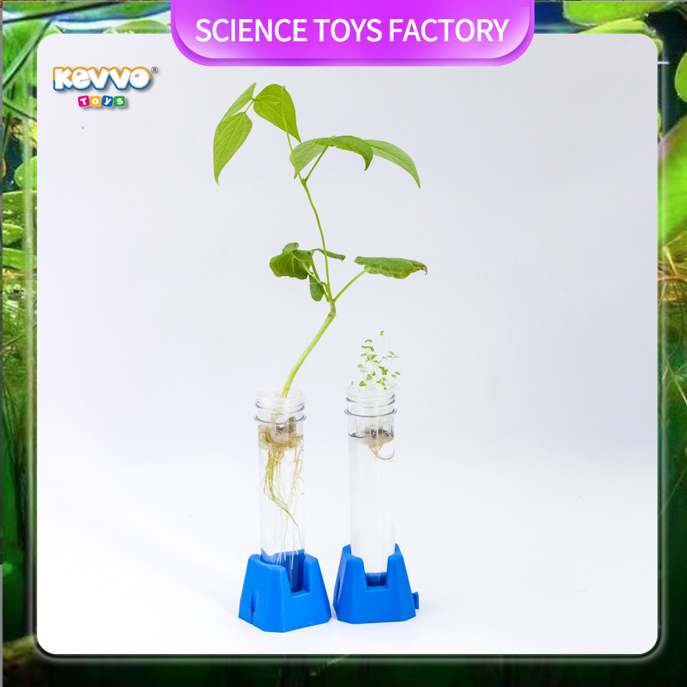 主图模板薄荷+芸豆