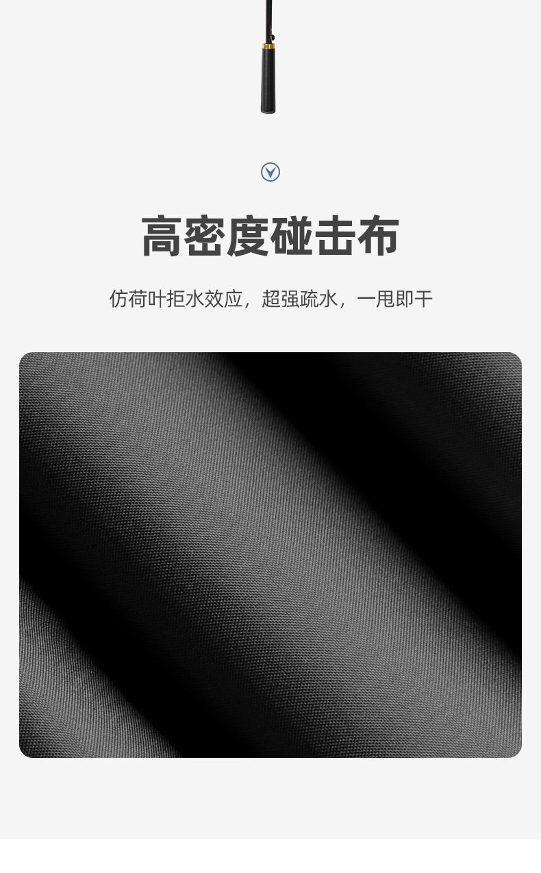 智贝下图_13.png