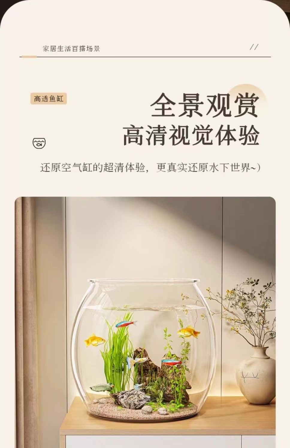 a4cebd99-25d1-442a-a78d-f651767543d4.jpe