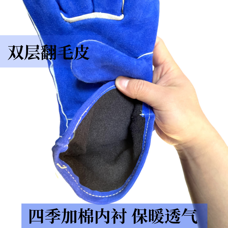 微信图片_202503171207241_副本_副本