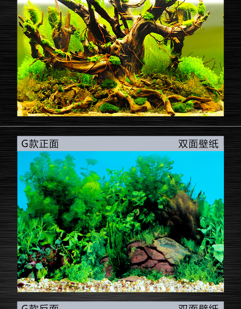 鱼缸壁画_新详情_11
