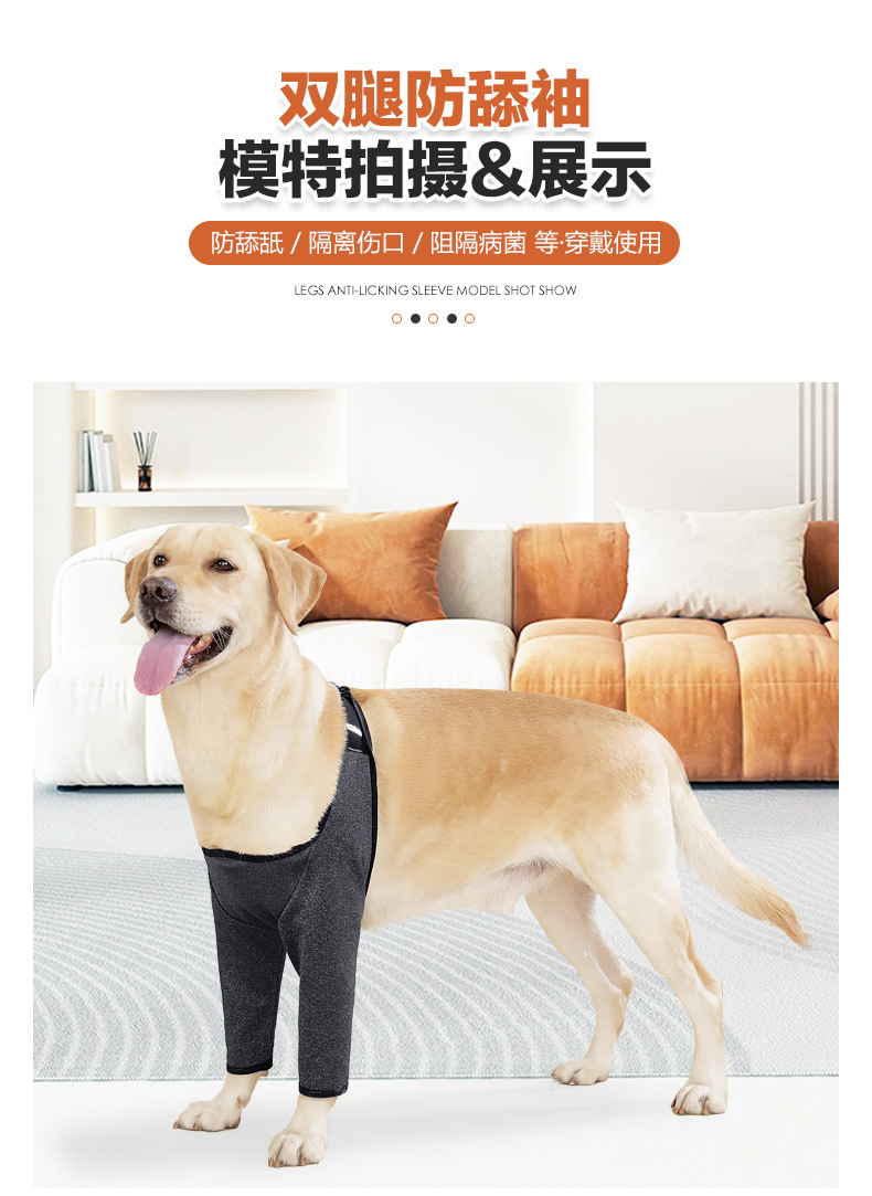 犬用防舔袖_09.jpg