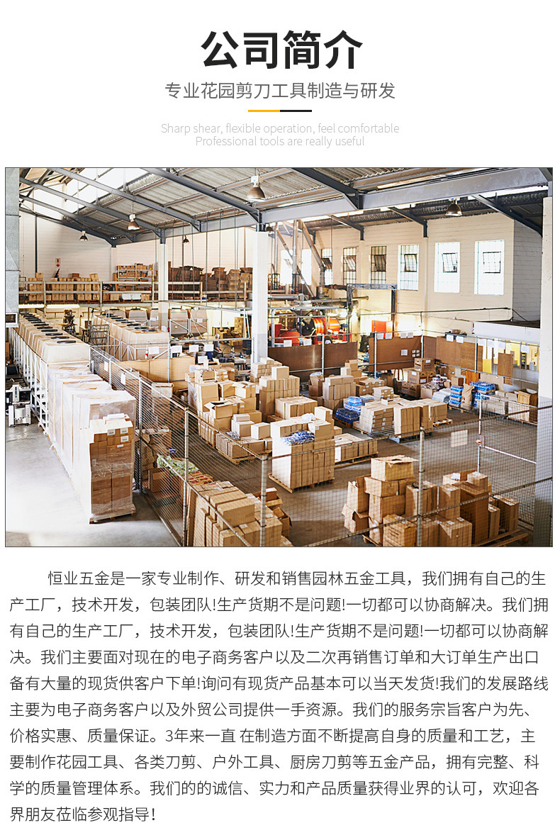 尾部简介