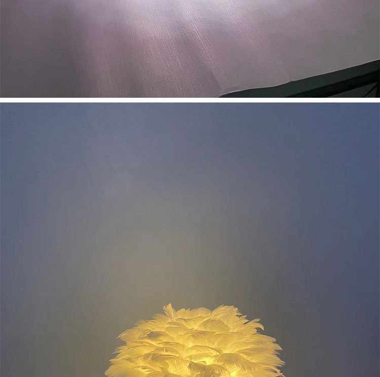 T6002羽毛台灯详情图_02.jpg
