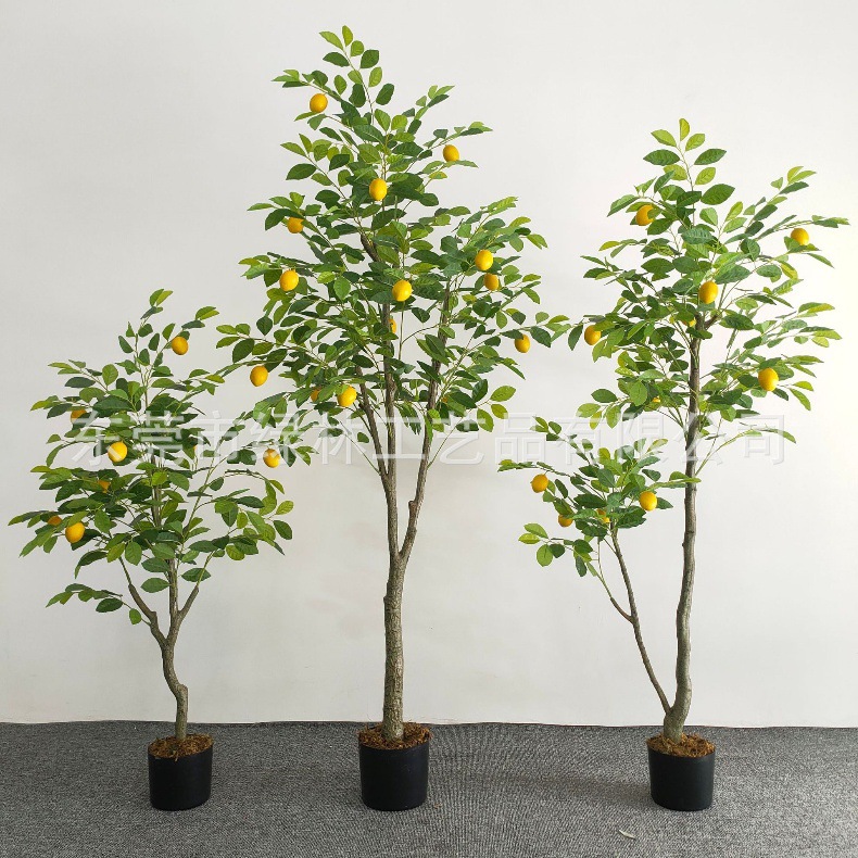 766bb4f7566f48b947be60f15ab8a1