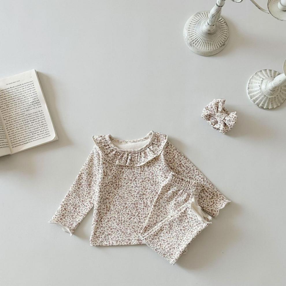 20091b5b-1697-4598-a15f-0b6ca6752a4d.jpe