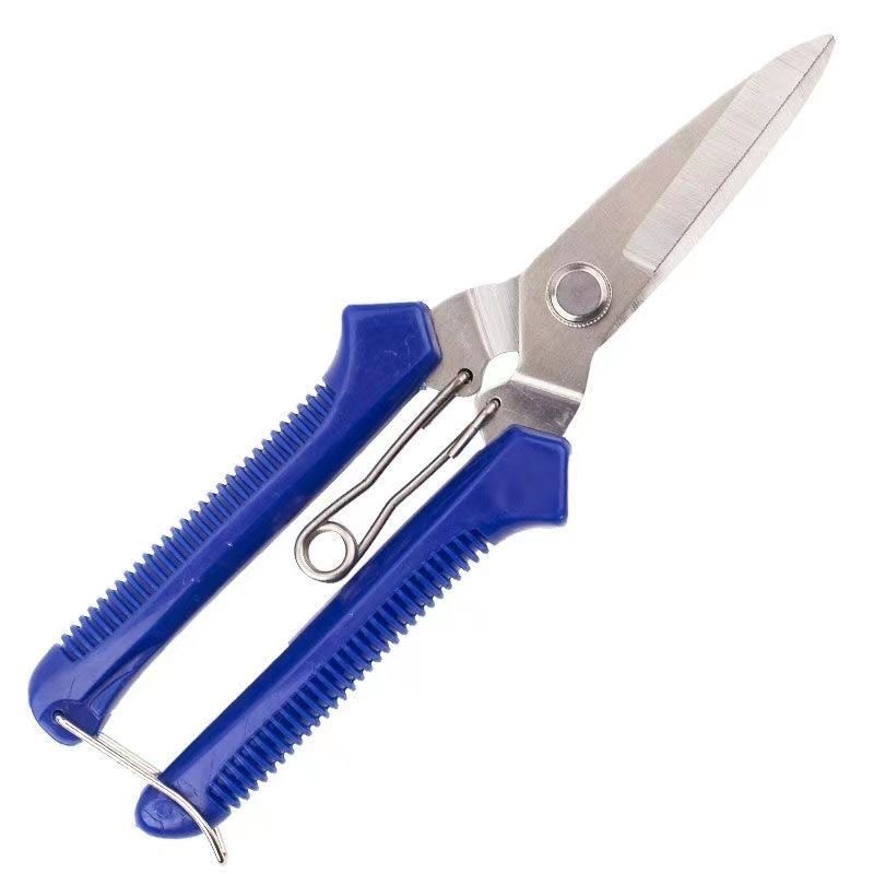 微信图片_20240521202706