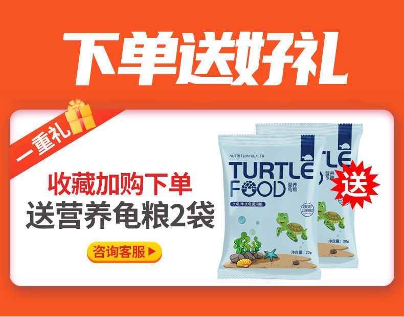 64d32989-78fa-480f-a022-3acd21caa70a.jpe