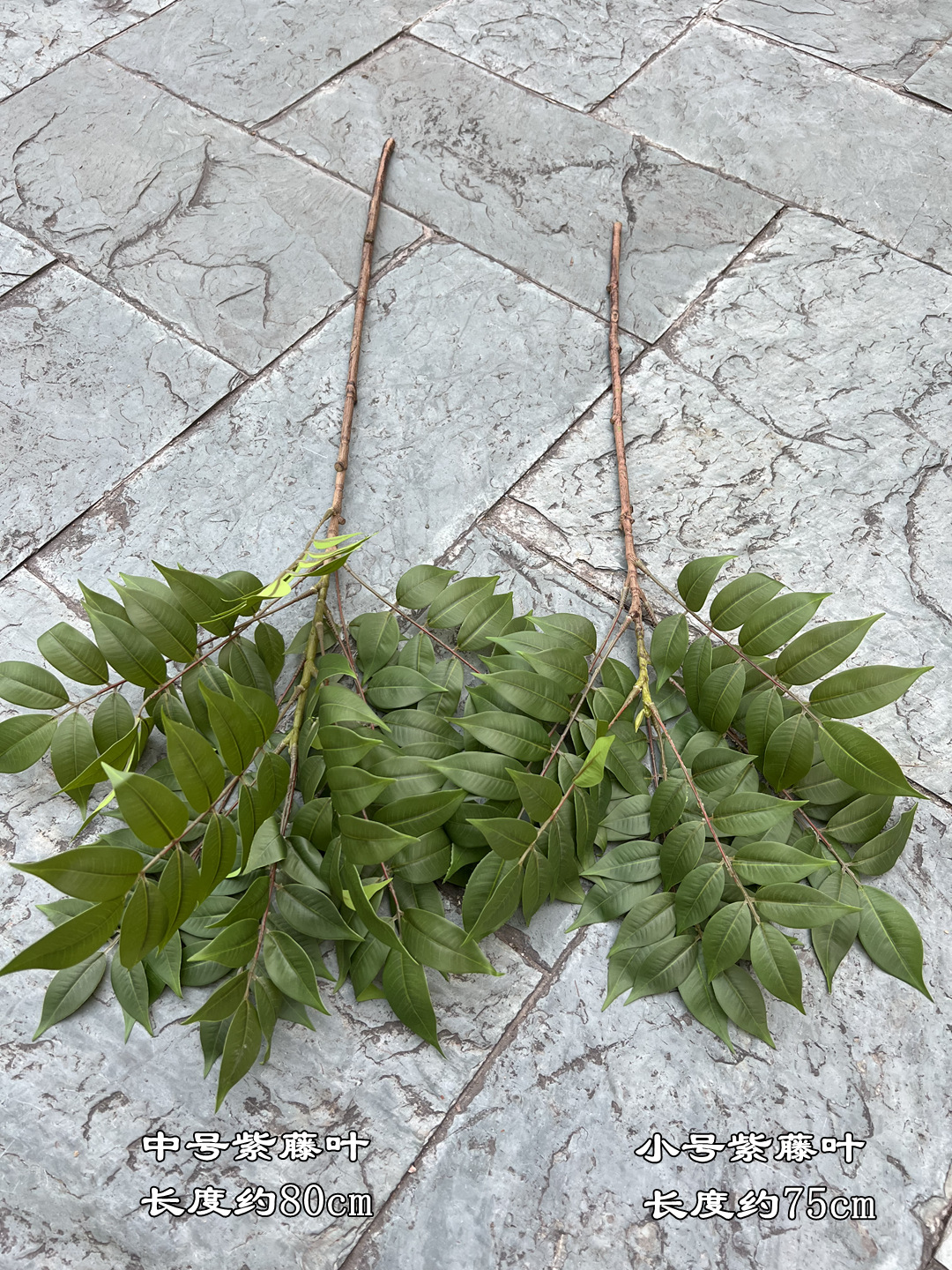 微信图片_20230323180102_副本