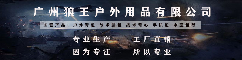 狼王详情