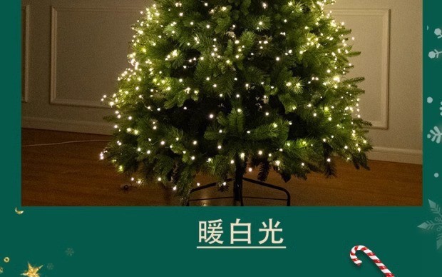 圣诞树灯
