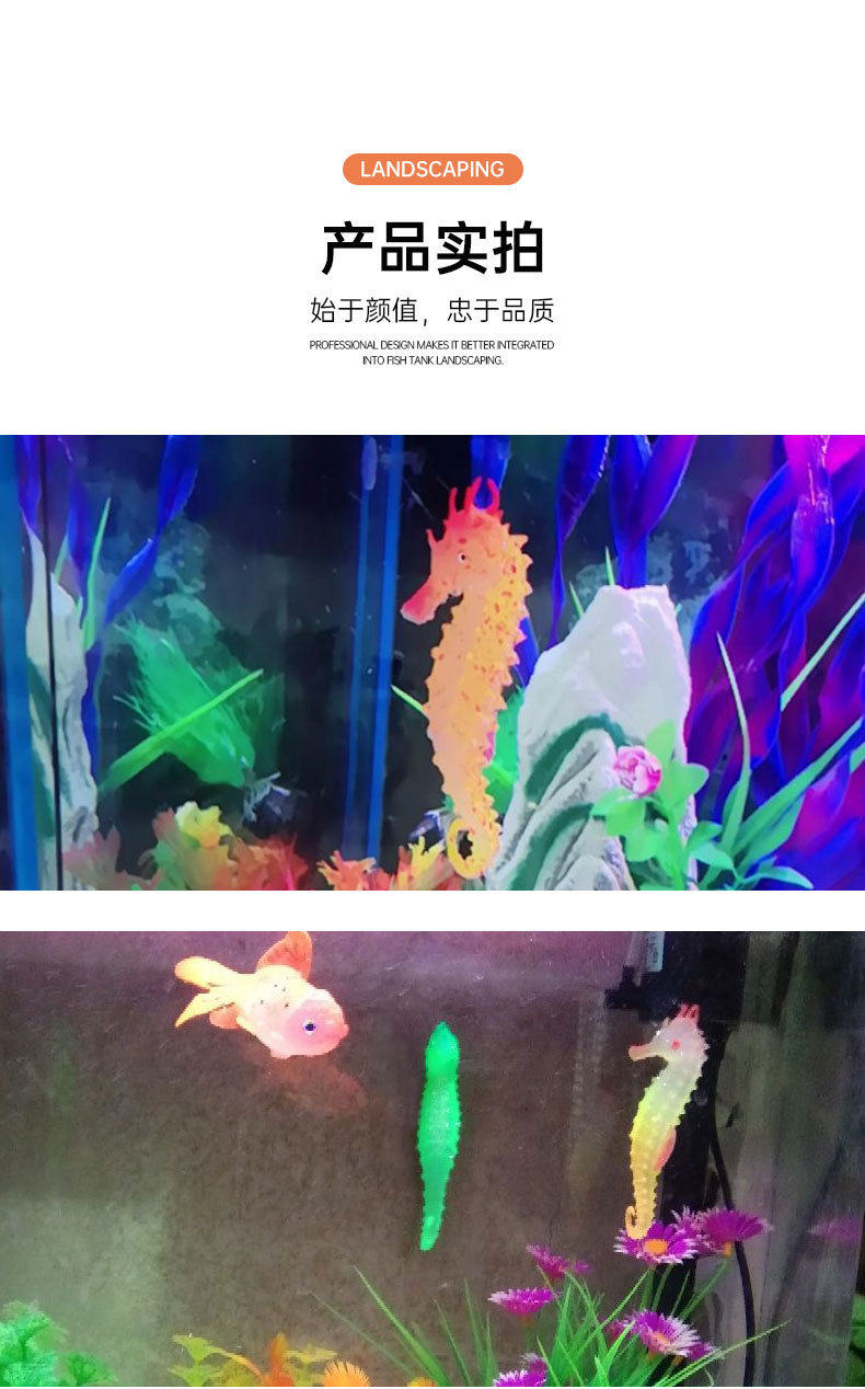 海马详情_05.jpg