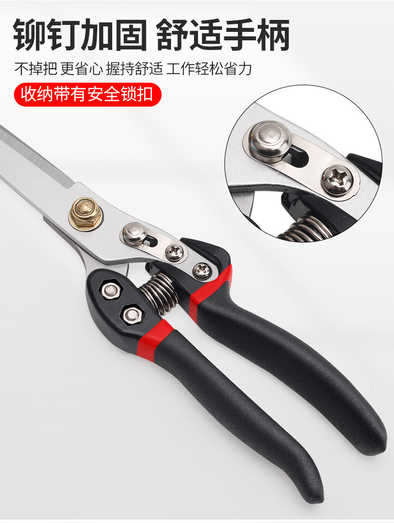790详情_04.jpg