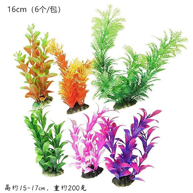 12332207691_1798148263