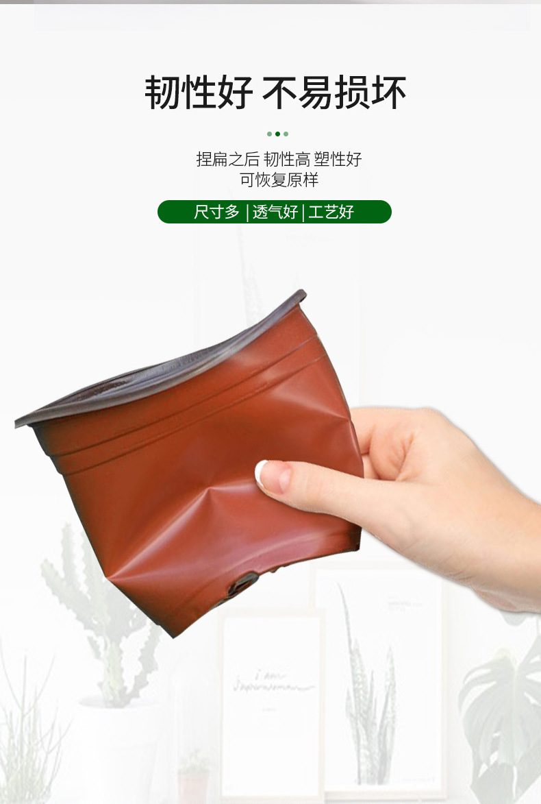 双色育苗盆,批发透气绿萝多肉花卉塑料花盆,加厚圆形双色pp塑料花盆