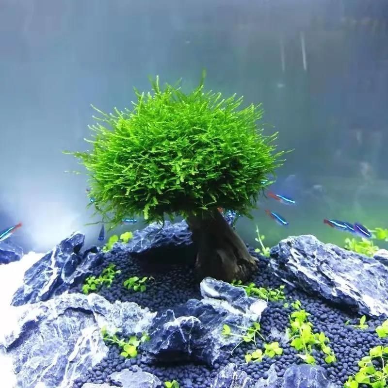 5aaa6f38-f1bc-49e5-b66a-11cef547b008.jpe