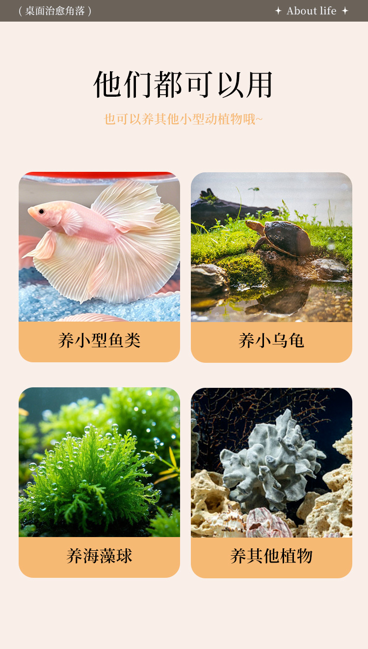 详情页_13.jpg