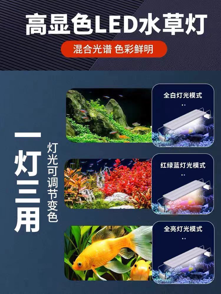 95bf99a5-153f-48b9-9b96-24e2b96e4594.jpe