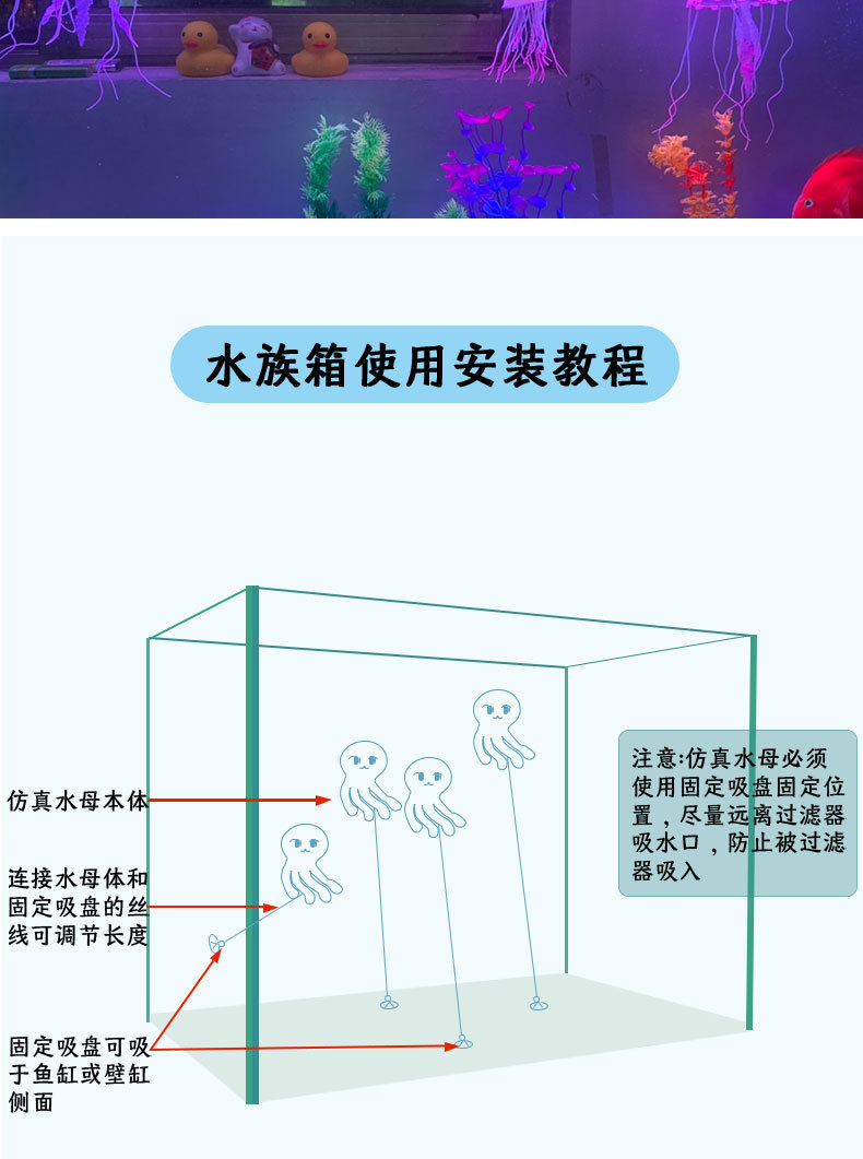 水母详情_07.jpg