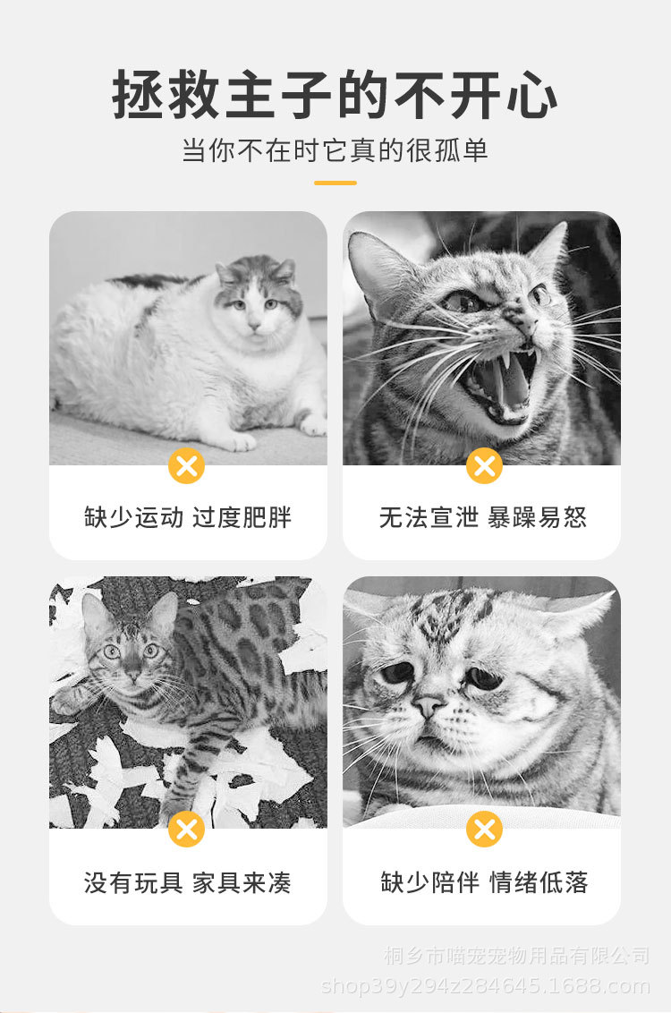 详情_02.jpg