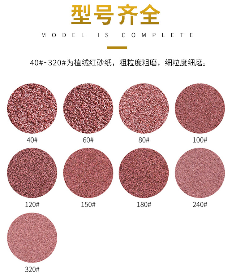 一键复制_20230204151312