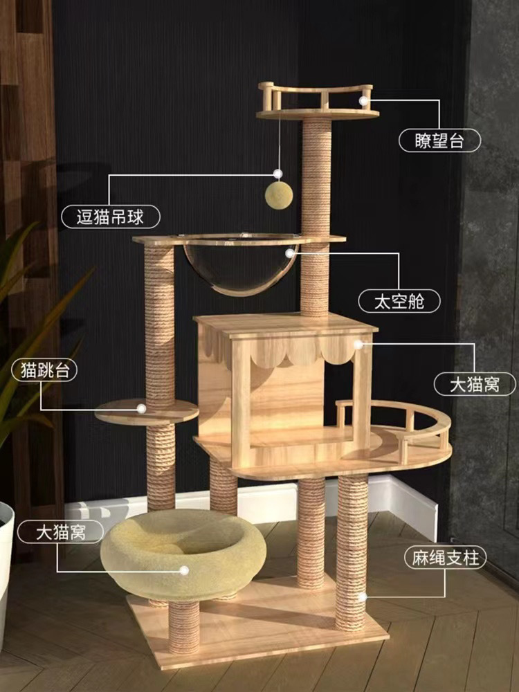 094b5298-56ef-491b-a82b-0c2cf70a0333.jpe