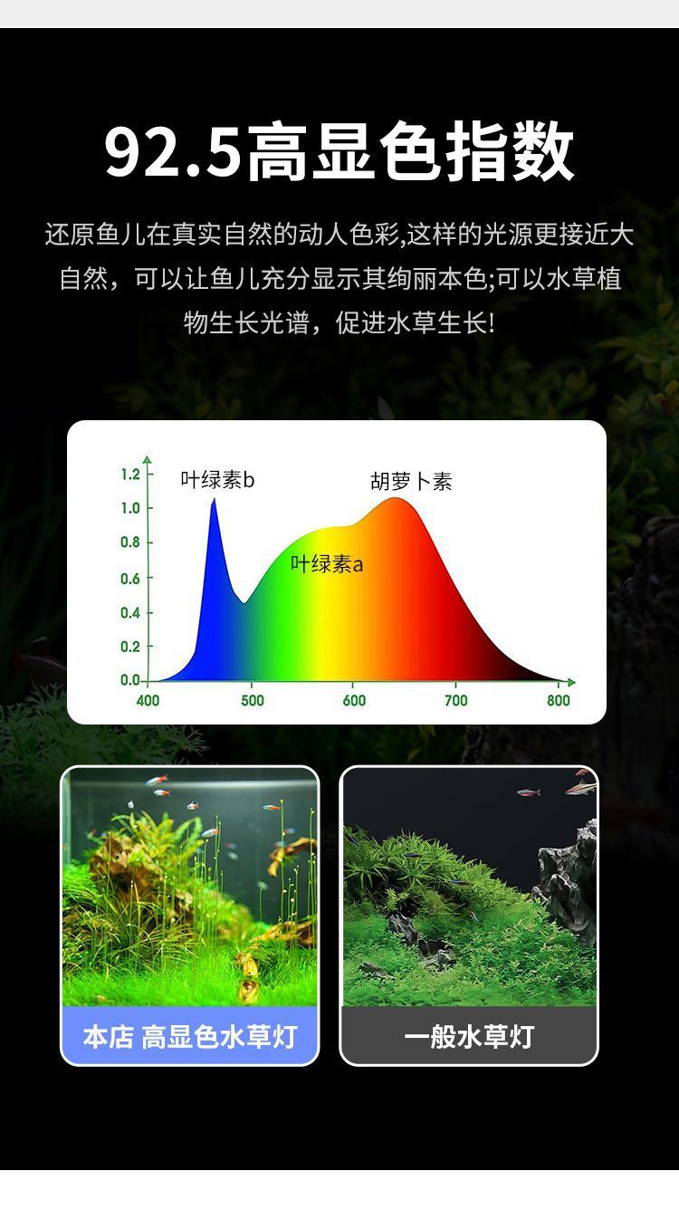 2207cb77-0c25-45a7-8679-c813e8df5992.jpe