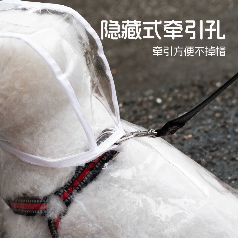 db62e6b9-7196-4a76-b1ca-41a6de7ab54e.jpe