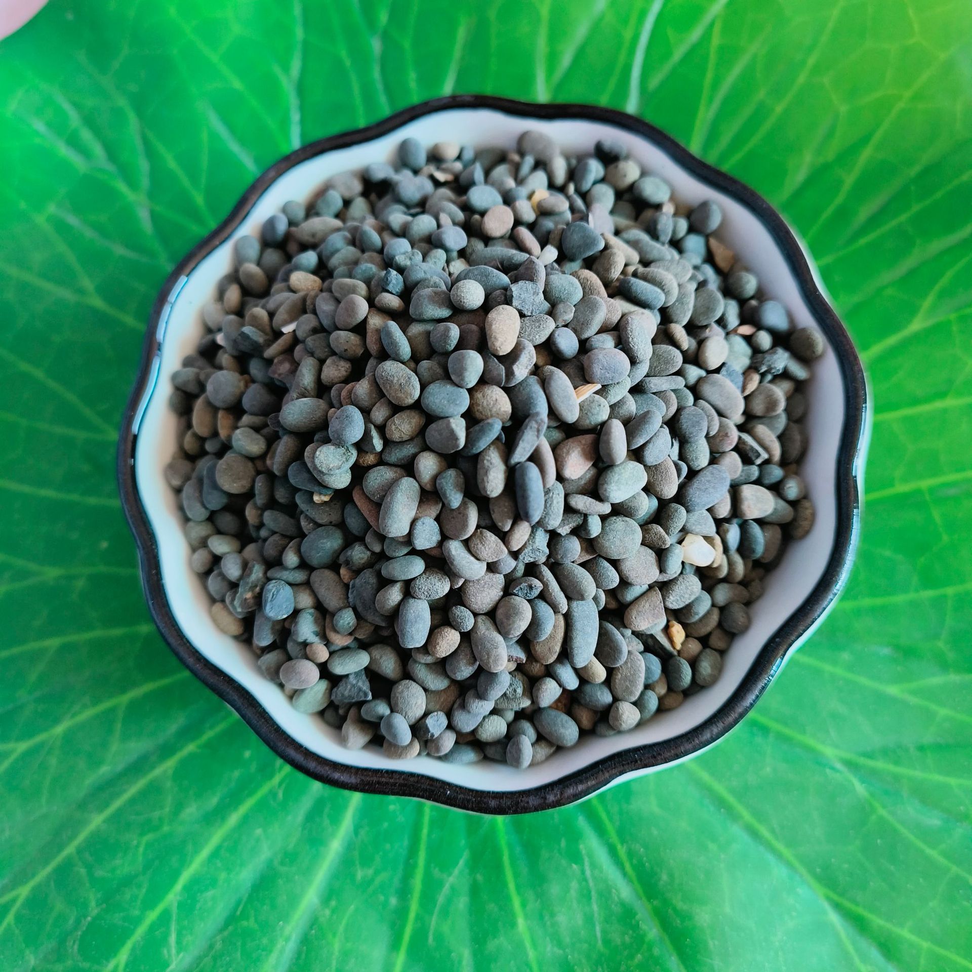 微信图片_202307171558366