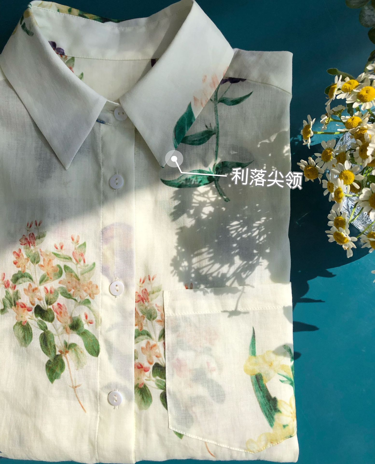蓝牵牛2.JPG