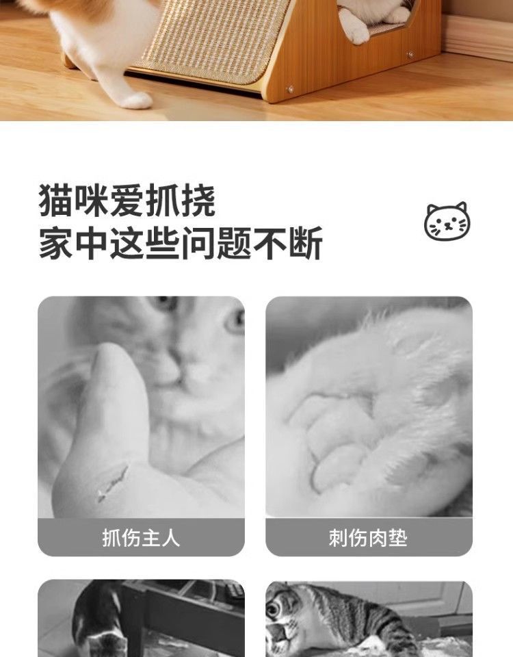 a6ed4a8c-7be4-4a88-adf0-a29382d0d89b.jpe