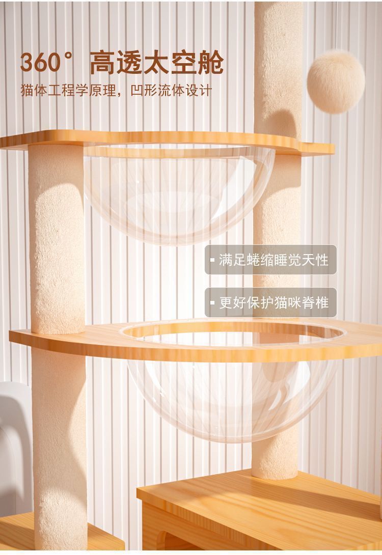 df184d13-5c0d-4f39-8805-2d72f0e73fac.jpe