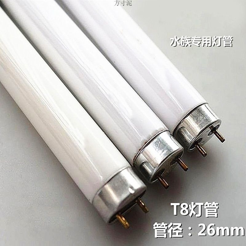 7220119f-6d54-42ba-b0cf-7cbfbeba56f5.jpe