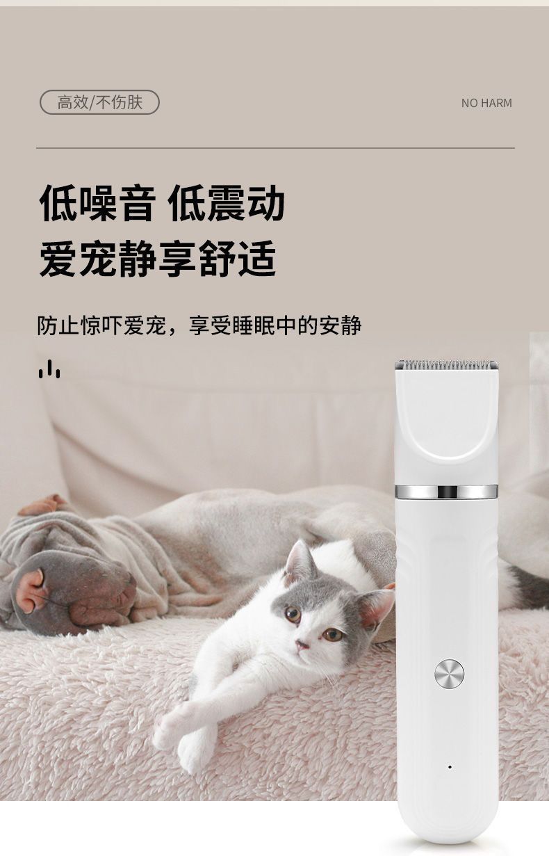 aeffb7ea-a0c3-46b7-b332-f97afb0b13a0.jpe