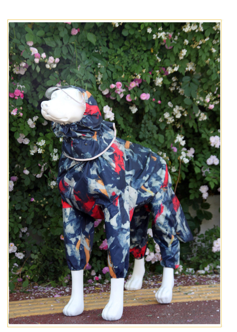 36c2c91f-caa6-491a-a35b-ed034932f86e.jpe