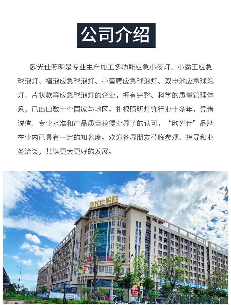 应急球泡_17.jpg
