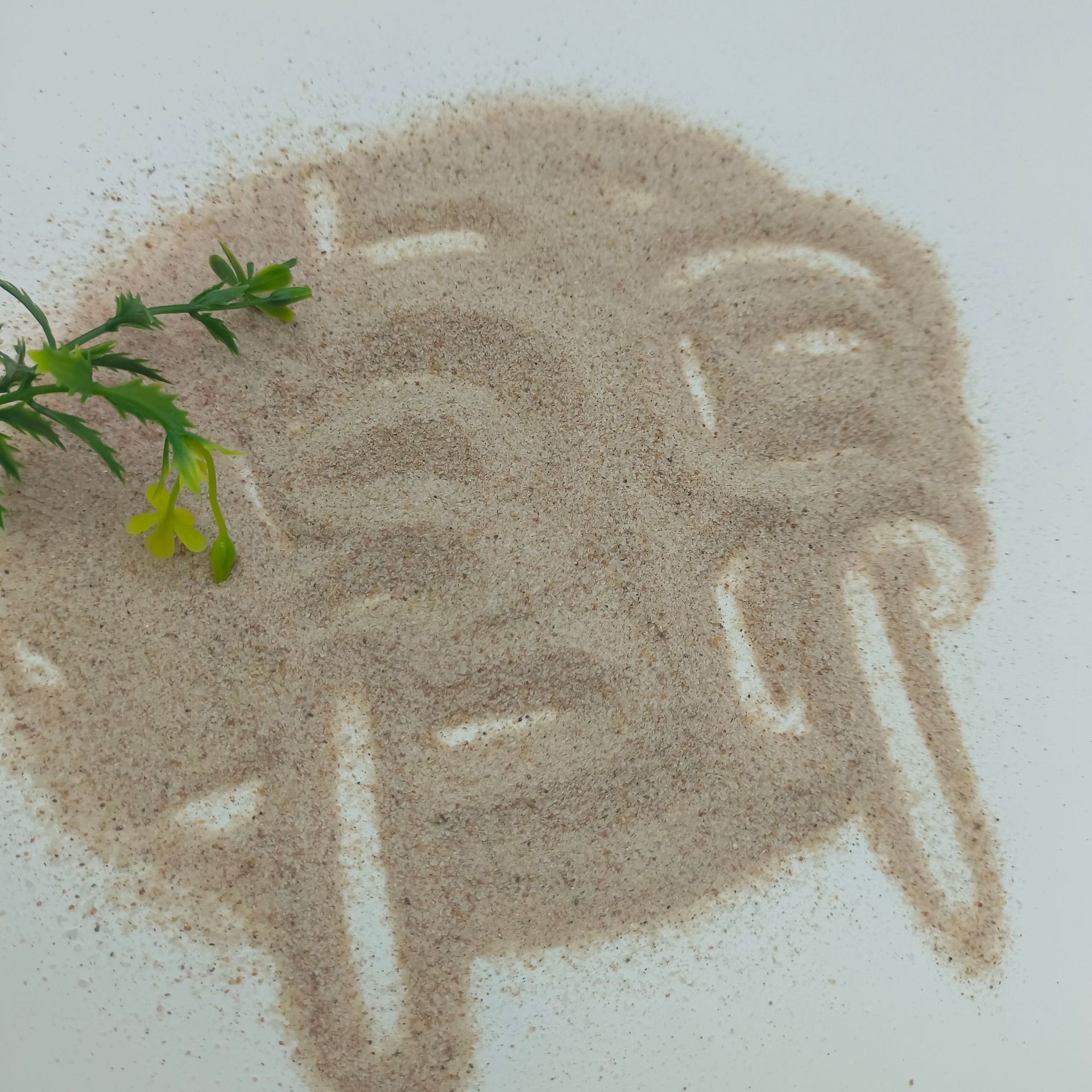 微信图片_20240918133504