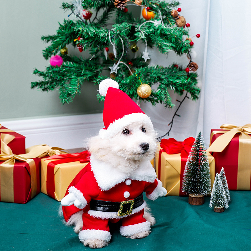2022立体圣诞套装宠物衣服