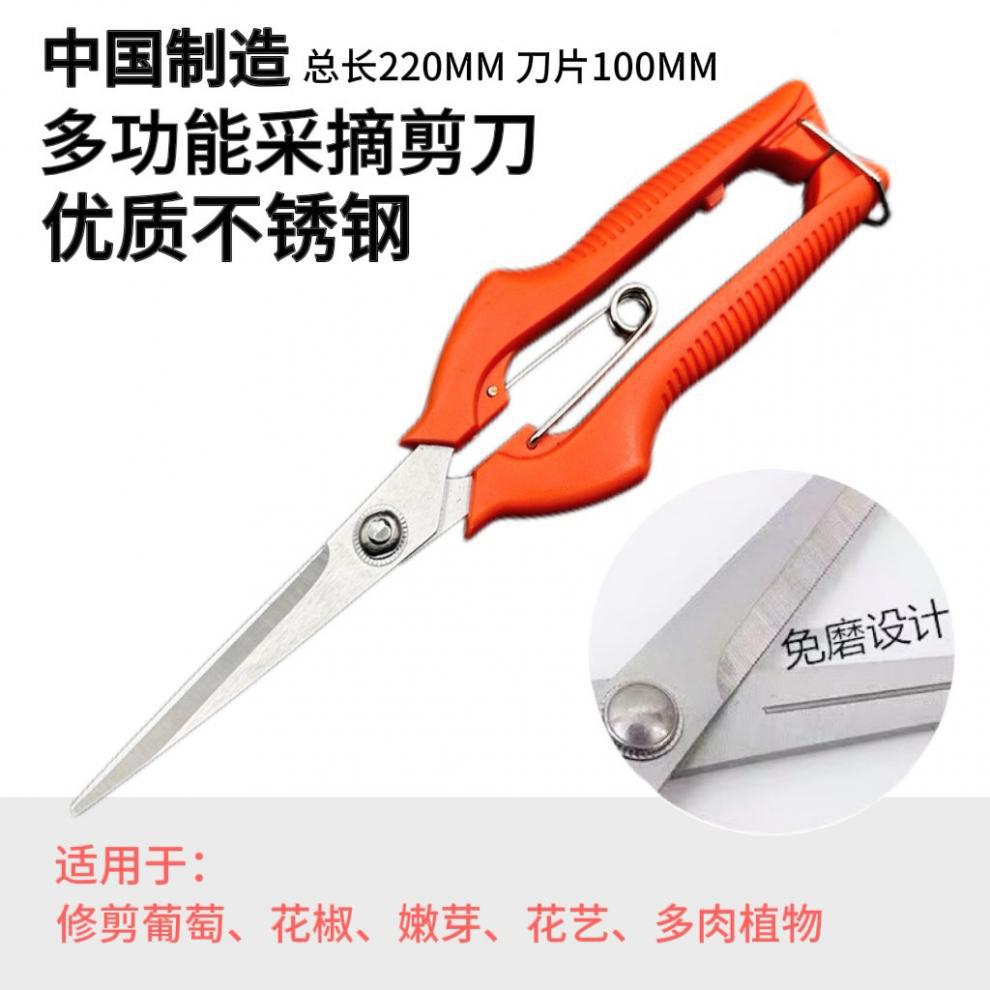 2ed5f272-ba7d-4e70-80c0-c299350ff0e1.jpe