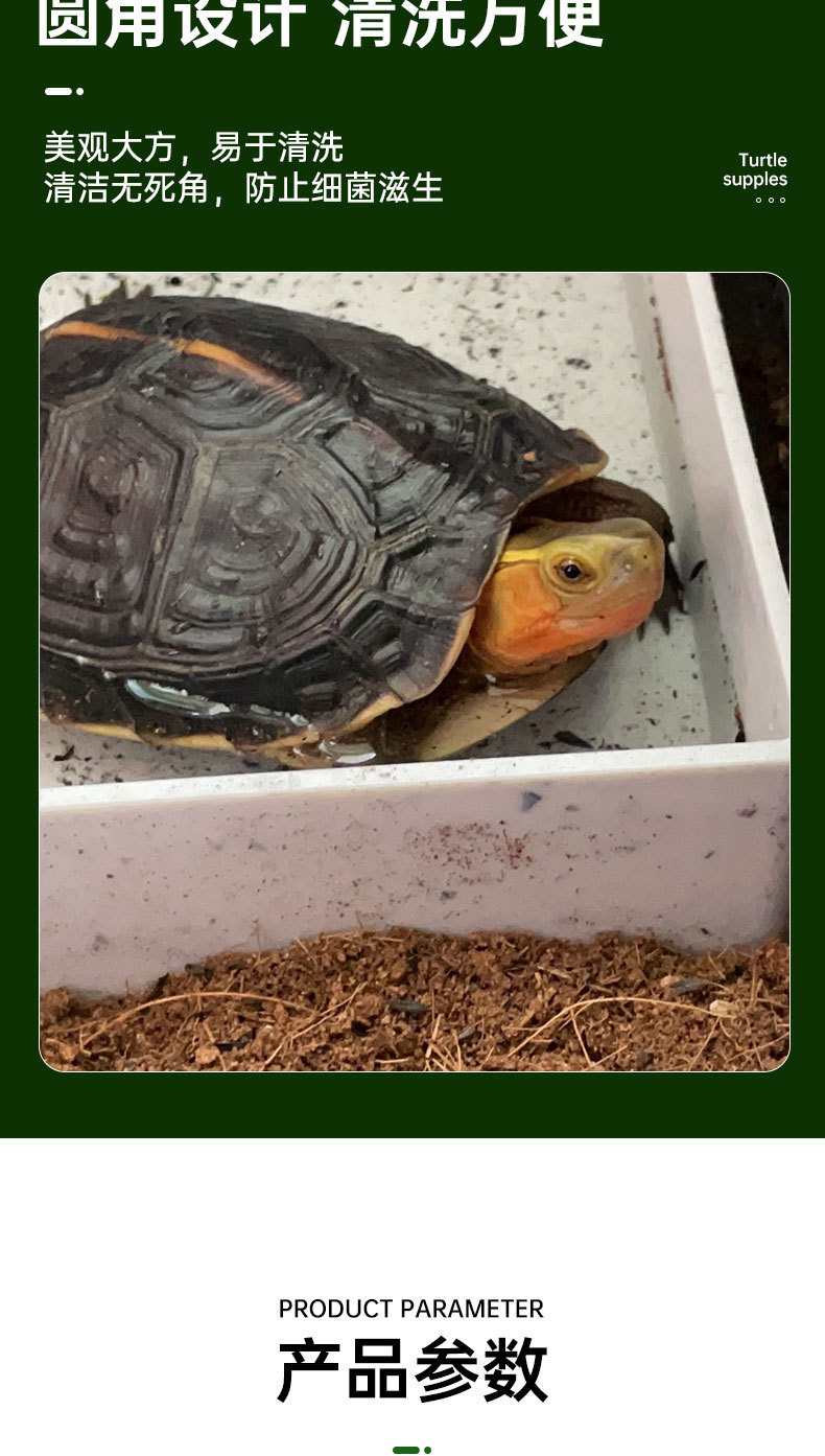 乌龟爬台详情_06.jpg