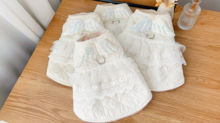 IMG_8903(20231109-133342)