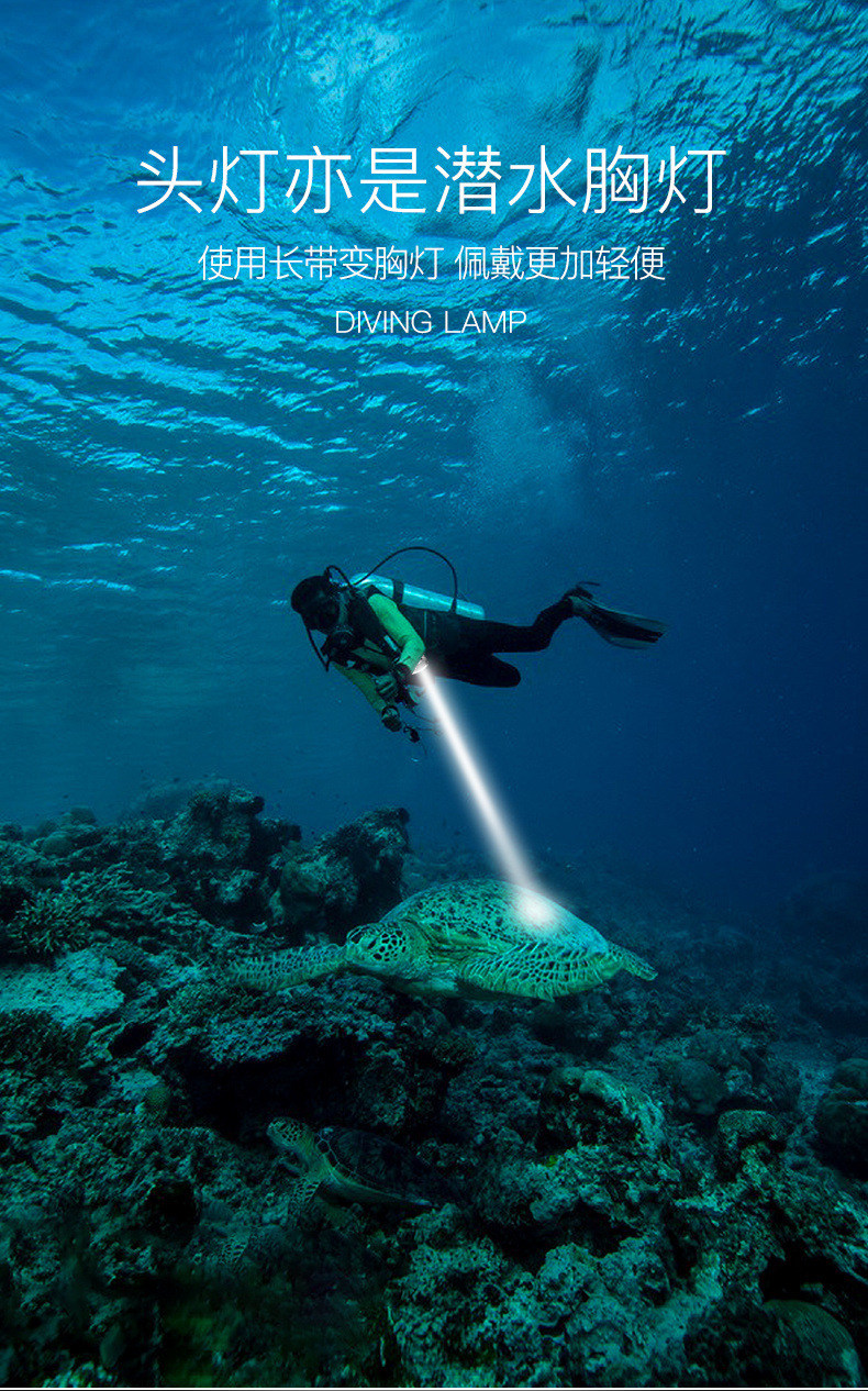 5e0ce9f8-67b4-4b45-8613-5a3435092b8f.jpe