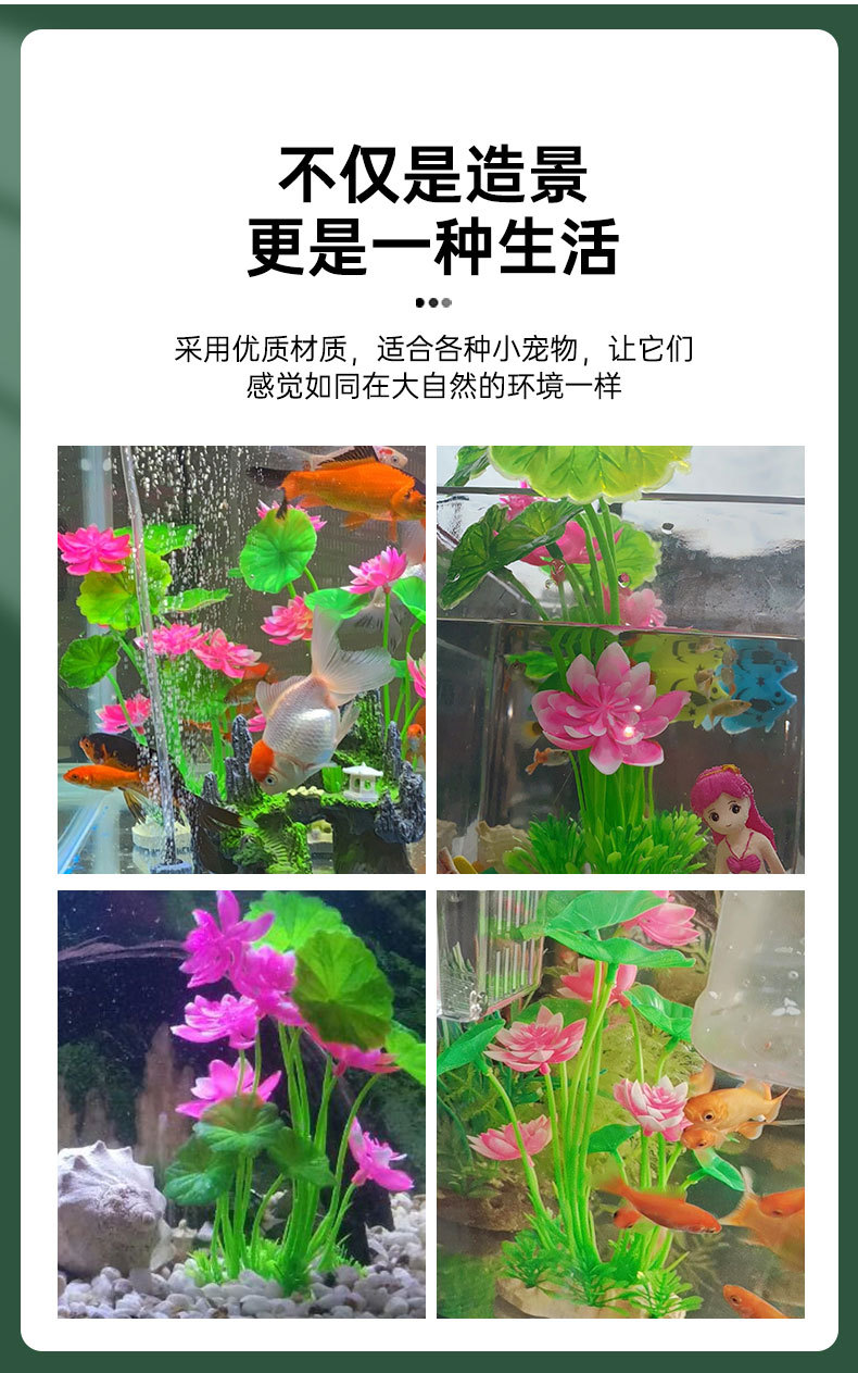 草详情_06.jpg
