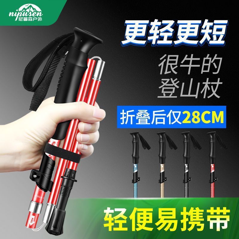 d2412245-70a6-46b7-b261-6ac0c9639b0a.jpe