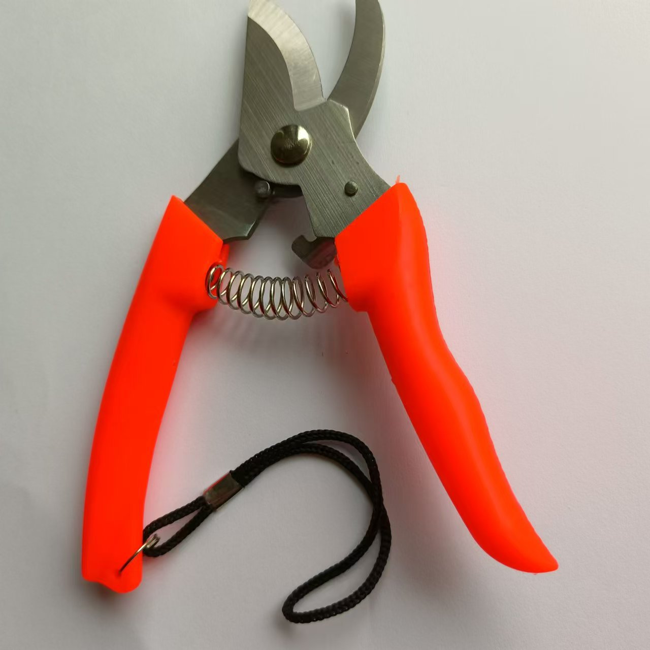 微信图片_20240520145854