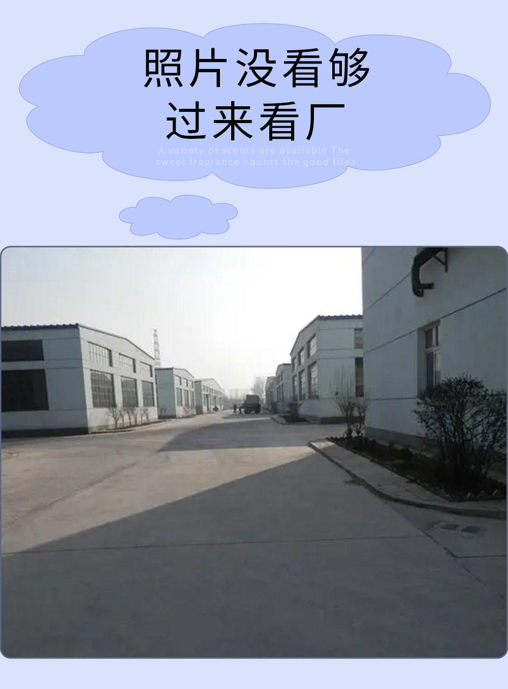 车载香薰片_08