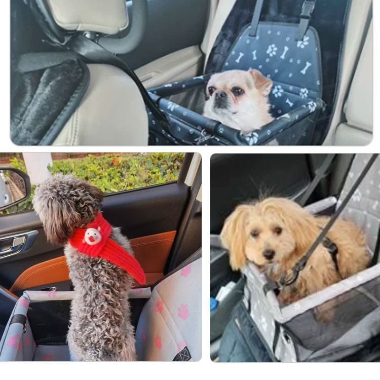 530b18db-101f-4d32-8042-826c5a6f2745.jpe