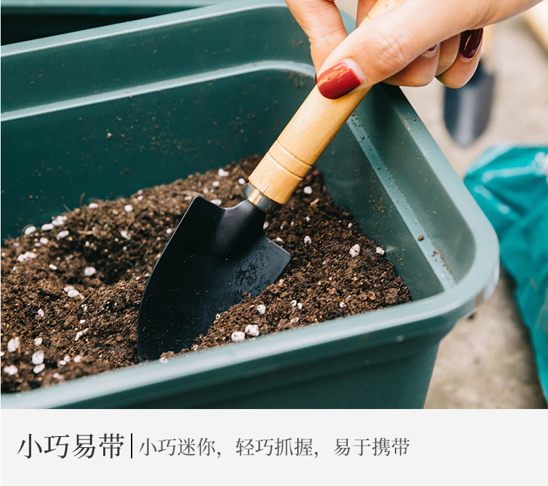 详情-09